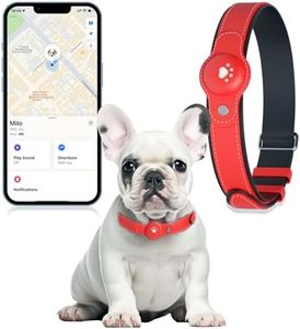 2-in-1 GPS