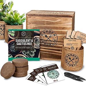 Cactus Succulent Seed Starter Kit - Indoor Garden Grow Kits, Seeds for Planting Mini Cactus Succulent Plants, Plant Markers, Soil, Pots, Wood Box - Fathers Day Gardening Gifts