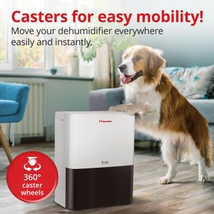 Inventor Fresh 12L Dehumidifier – Compact Home Moisture Removal