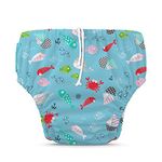 2-in-1 Swim Diaper & Training Pants Florida Blue Medium