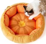 Lesure Cat Beds for Indoor Cats - Washable Cute Cat Beds with Versatile Dual-Use Design, Reversible Donut Pet Bed for Puppy and Kitten, 21x21x7 Inches