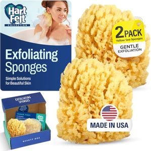 HartFelt Yellow Sea Sponge Beauty Box for Gentle Exfoliation | 2 Bath Sponges for Shower Women & Men 4 in | Body Sponge with Mesh Bag for Cleaning & Drying | Reusable Natural Sponge - Gift Box
