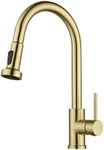 Decaura WELS Kitchen Tap Pull Out 2