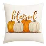 RABUSOFA Thanksgiving Fall Golden Pumpkin Pillow Covers 18x18 Blessed Harvest Autumn Decorations for Home Outdoor Thanksgiving Decor Decorative Throw Pillow Cases Farmhouse for Couch