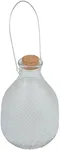 Esschert Design EG21 Wasp Trap Clear Hobnail Glass, Large, 8.75" H
