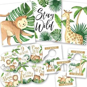 Hadley Designs 6 Reversible Safari Wall Decor Prints Nursery Decor 20 Monthly Baby Milestone Stickers, 6 Baby Nursery Closet Organizer Dividers, Baby Shower Decorations