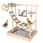 Small Bird Playground Parakeet, Bird Play Ground Parrots Table Top Parrot Stand Medium Quaker Parrot Perch Stand Cockatiel Perch Play Stand with Climb Ladders, Swing,Chewing Toys for Conure Cockatiel