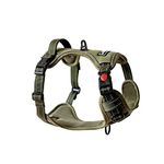 Dog Harness Chafing