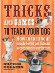Tricks and Games To Teach Your Dog:
