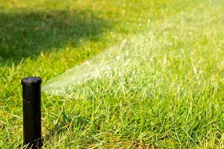 Rain Bird In-Ground Rotor Sprinkler System Kit – Click-N-Go Hose Connection