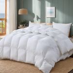 Luxury Goose Down Comforter Queen Size Goose Feather Duvet,Filled with Feather and Down Fiber 100 OZ - All Season White Duvet Insert-750 Fill Power 100% Cotton Shell 8 Corner Tabs 90 x 90 Inch
