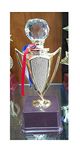 TROPHYwala Winner Cup Trophy, ABS Gold Plated with Crystal Diamond 22 cms for Rewards