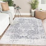 Famibay Grey Rugs Living Room Bedroom Rug Supper Soft Fluffy Rug Carpet Non Slip No Shedding Boho Area Rugs Washable Kitchen Floor Mats for Living Room Bedroom Hallway