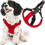 Gooby Escape Free Sport Harness - R