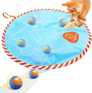 Migipaws I