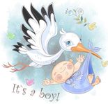 It's a Boy!: Cute Baby Shower Guest