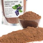 Authentic Siberian Bird Cherry Powder (Flour), Gluten free, Raw Natural 300gr/10.58oz by Siberian Green, Altai Region Wild Harvested