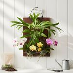 Dranvosk Staghorn Fern Mounting Board Vertical Wall Hanging Planter Plant Holder Mounting Kit for Platycerium, Orchids and Succulents