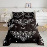 Boys Boho Moth Comforter Set Queen 