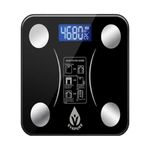 Evapure Smart Bluetooth Bathroom Scales – Body Weight, Body Fat & BMI Digital Scale with App – Muscle Mass, Visceral Fat & Health Tracking – iOS & Android Compatible
