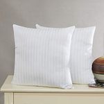 Cloth Fusion Microfiber Cushion Filler, 24 x 24 Inch, White - (Set of 2)