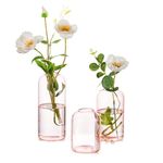 Small Pink Vase Bud Vase: Hewory 3pcs Clear Cylinder Vase Small Glass Vase for Flowers, Modern Bud Vases Set Single Stem Vase, Small Flower Vase for Living Room Wedding Party Events Home Decor