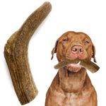 Heartland Elk Antlers for Dogs - Grade A, Naturally Shed Antlers | Dog Bones for Aggressive Chewers & Teething Puppies | All Breeds Chew Toy USA Made & Veteran Owned (Whole: 7", Large, 1-Pack)