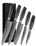 XINZUO 5-Piece Kitchen Knife Set,67 Layers Damascus Steel Professional Kitchen Knife Set 5pcs with Gift Box, High Carbon Steel Forged Blade, Razor Sharp,Pakka Wood Handle-Ya Series