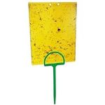 50 Sheets Sticky Fly Traps, Dual-Si