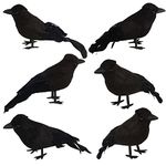 KIMOBER 6PCS Halloween Crows,Realistic Black Feathered Crows Ravens Birds for Halloween Party Indoor Outdoor Decorations