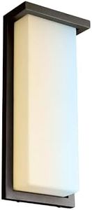 Sunlite 81