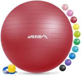 APEXUP Yoga Ball Exercise Ball, Ant