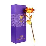 WeFoonLo Creative Artificial 24K Gold Rose Flower Plastic Long Stem Real Rose Dipped in Gold with Gift Box for Mother's Day, Valentine's Day, Birthday, Anniversary, Thanksgiving Day (Gold)