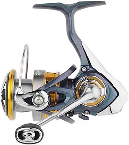 Daiwa Rega