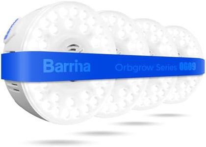 Barrina Or