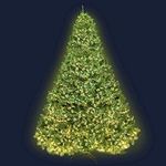 Jingle Jollys Christmas Tree 2.4m W