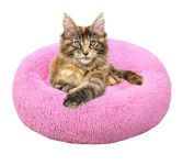 ZEXSAZONE Comfortable Washable and Lightweight on Both Sides usable cat Bed l pet Bed l Puppy Bed for Small and Medium Size cat Puppy Dogs pet Bed S Size Season Winter pet Bed