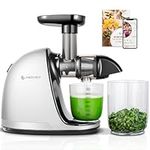 AMZCHEF Cold Press Juicer Machines, Slow Masticating Juicers for Whole Fruits and Vegetables, High Juice Yield, No BPA, with 2 Cups and Recipe, White