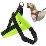 BPS® Adjustable Dog Harness, 4 Sizes to Choose From for Small and Medium Dogs