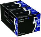 5 Gum Blueberry Rush, Sugar Free Chewing Gum, 12-Stick Pack (10 Pack)