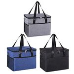 plastific 8L Soft Cooler Bag with Hard Liner, Large Insulated Picnic Lunch Bag Box Soft-Sided Cooling Bag for Camping/BBQ/Family Outdoor Activities Sports (Navy - 24 * 16 * 20.5cm)