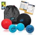 Lifetime Exercise Balls