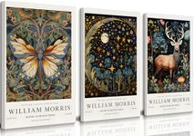 3pcs William Morris Wall Art Vintage Moon and Stars Canvas Wall Decor Butterfly Pictures Prints Poster Gallery Famous Artwork Nature Animal Flower for Bedroom Living Room Office Home 16x24inx3 Framed