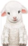 Furry Lamb (Touch and Feel Mini Friends)