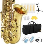 Eastar Professional Alto Saxophone 