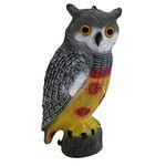 Decoy Owl - PH-312-1