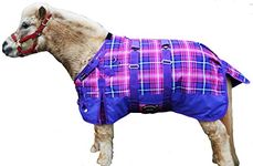CHALLENGER 46" 1200D Miniature Weanling Donkey Pony Horse Foal Winter Blanket Purple 51971B