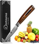 Damascus Paring Knife 3.5" - Professional 67-Layer VG10 Steel, Ultra Sharp 12° Edge Kitchen Utility Knife with Pakkawood Handle & Gift Box for Peeling, Slicing, Garnishing, Fruit Vegetable Prep
