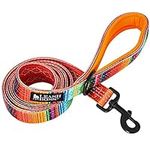 Leashboss 6ft Dog Leash | Ultra Comfort Double-Thick Soft Padded Handle | Reflective Leash for Large Dogs, Medium Dogs | Heavy Duty Leash for Large Breed Dogs | Nylon Leash for Small Dogs/Puppies