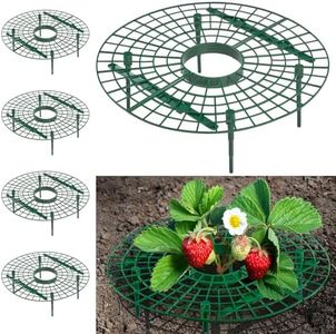 arbxvnr 5 Sets of 30 cm Wide Strawberry Planting Stand Set, Size Retractable Sturdy Strawberry Planting Stand, Garden Strawberry Stand, Strawberry Support Stand Strawberry Holder (5pack)